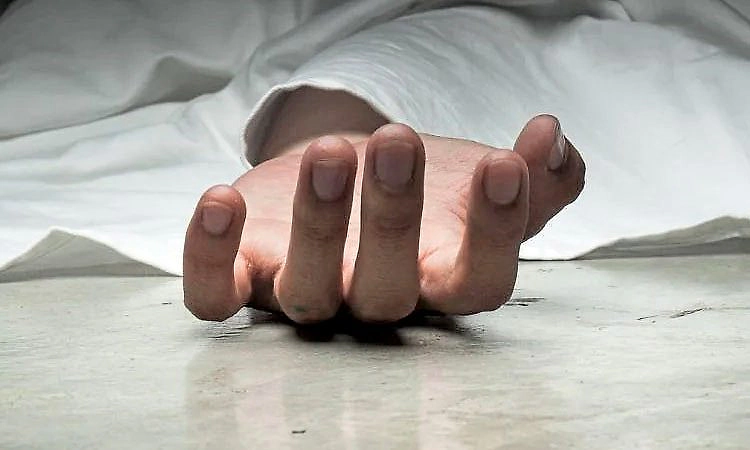 Malpe: ತೆಂಗಿನ ಮರದಿಂದ ಬಿದ್ದು ವ್ಯಕ್ತಿ ಸಾವು