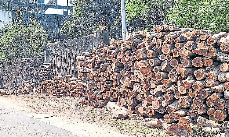 Commercial LPG shortage pushes Mangaluru hotels and temples towards firewood for cooking