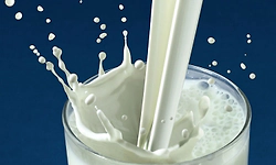 ರಾಜ್ಯದಲ್ಲಿ ಒಂದೇ ವರ್ಷಕ್ಕೆ 3,000 ಹಾಲಿನ ಕಲಬೆರಕೆ ಕೇಸ್‌!