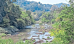 Sullia: ಪಯಸ್ವಿನಿಯಲ್ಲಿ ನೀರಿನ ಹರಿವು ಕುಂಠಿತ