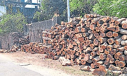 Mangaluru: ಗ್ಯಾಸ್‌ ಟ್ರಬಲ್‌ನಿಂದ ಕಟ್ಟಿಗೆ ವ್ಯಾಪಾರಕ್ಕೆ ಶುಕ್ರದೆಸೆ!