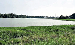 Surathkal: ಬಗ್ಗುಂಡಿ ಕೆರೆ: ಮೀನು ಹಿಡಿಯುವ ಜಾತ್ರೆಗಿಲ್ಲ ಕಳೆ!