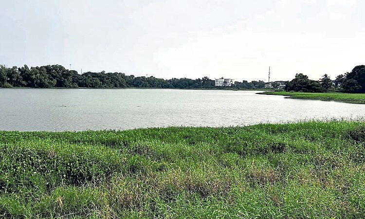 Surathkal: ಬಗ್ಗುಂಡಿ ಕೆರೆ: ಮೀನು ಹಿಡಿಯುವ ಜಾತ್ರೆಗಿಲ್ಲ ಕಳೆ!