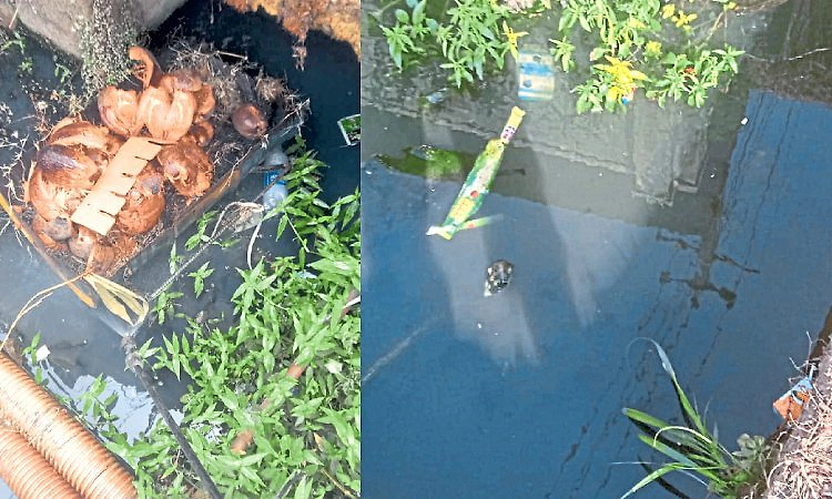 Manipal: ಮಣ್ಣಪಳ್ಳ ಕೆರೆಯನ್ನು ಸೇರುತ್ತಿದೆ ಅಪಾರ್ಟ್‌ಮೆಂಟ್‌ಗಳ ತ್ಯಾಜ್ಯ ನೀರು