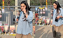 Stray dogs go missing in Bengaluru, actor Ramya breaks down