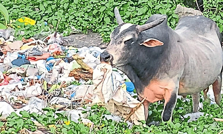 MCC cracks down on single-use plastic at Surathkal weekly market, eco-friendly alternatives made mandatory