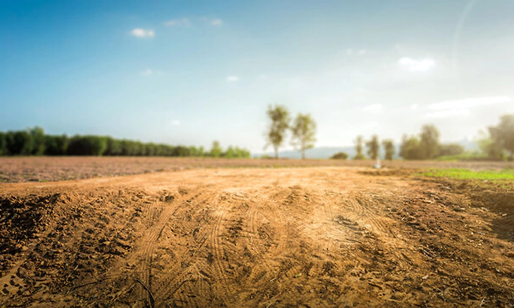 Karnataka proposes 500-acre industrial hub alongside ARAI centre in Mandya; talks underway