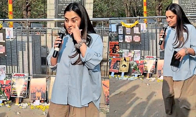 Bengaluru: ಬೀದಿ ನಾಯಿಗಳು ನಾಪತ್ತೆ: ಗಳಗಳನೆ ಅತ್ತ ನಟಿ ರಮ್ಯಾ
