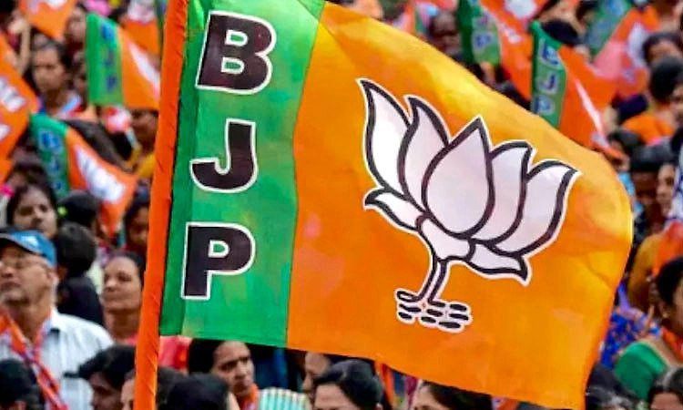Chandigarh: ಹರಿಯಾಣ ಮಹಾನಗರ ಪಾಲಿಕೆ ಚುನಾವಣೆ: ಬಿಜೆಪಿ ಕ್ಲೀನ್ ಸ್ವೀಪ್