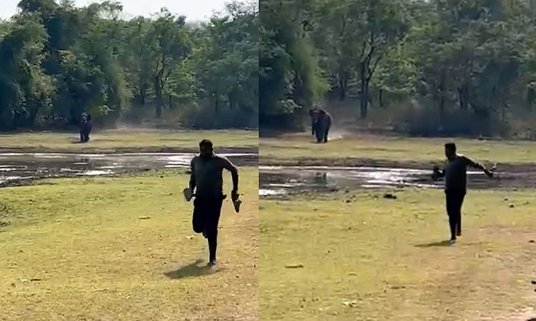 Shivamogga: ಗ್ರಾಮಸ್ಥರನ್ನೇ ಅಟ್ಟಿಸಿಕೊಂಡು ಬಂದ ಕಾಡಾನೆ... 