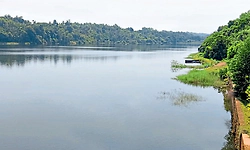 Puttur: ಮಳೆಯಿಂದ ಒಳಹರಿವು ಹೆಚ್ಚಳ