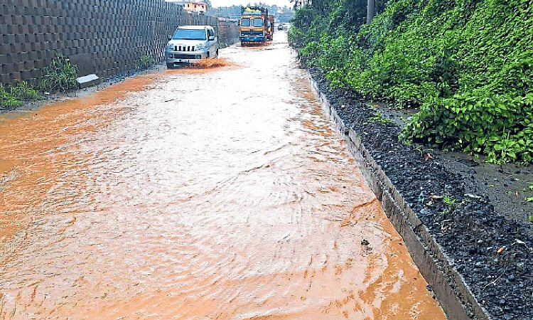ನೆಲ್ಯಾಡಿ: ಹೆದ್ದಾರಿ ಸರ್ವಿಸ್‌ ರಸ್ತೆ ಹೊಂಡಮಯ