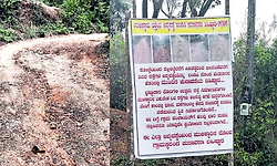 Belthangady: ಡಾಮರು ಕಾಣದ ಮುಳಿಕ್ಕಾರಿನ ಮಲೆಕುಡಿಯ ಕಾಲನಿ ರಸ್ತೆ