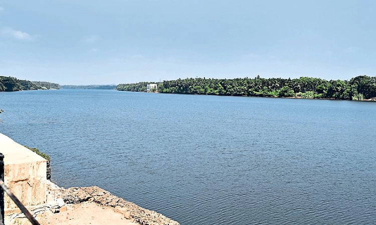 Mangaluru: ಎಎಂಆರ್‌ ಡ್ಯಾಂನಿಂದ ತುಂಬೆಗೆ ನೀರು ನಗರಕ್ಕೆ ನೀರು ರೇಷನ್‌ ಯಥಾಸ್ಥಿತಿ