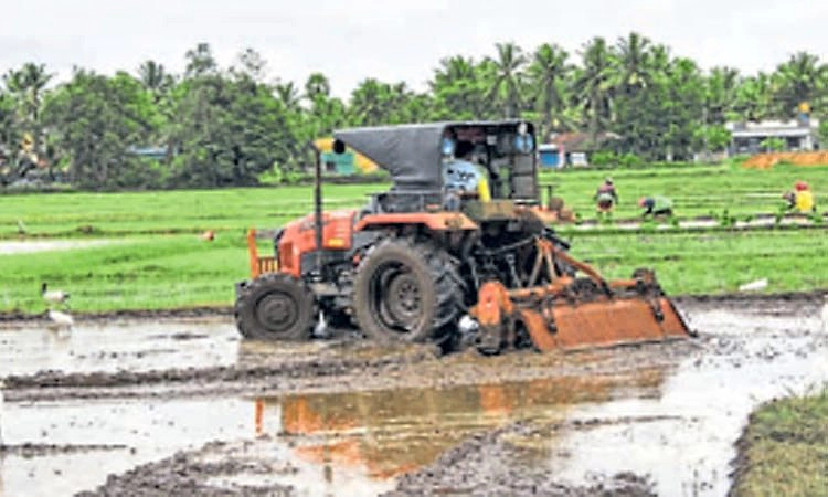 ಮುಂಗಾರು ನಿಧಾನವಾದರೂ ಹಠ ಬಿಡದ ರೈತರು-ಸಾಂಪ್ರದಾಯಿಕತೆಗೆ ಒತ್ತು...