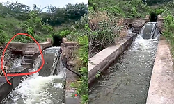 Gangavathi: ತುಂಗಭದ್ರಾ ಎಡದಂಡೆ ಕಾಲುವೆಯಲ್ಲಿ ಭಾರೀ ನೀರು ಸೋರಿಕೆ... ಆತಂಕದಲ್ಲಿ ರೈತರು