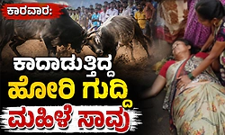 ಕಾರವಾರ: ಕಾದಾಡುತ್ತಿದ್ದ ಹೋರಿ ಗುದ್ದಿ ಮಹಿಳೆ ಸಾವು