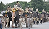 Mysore: ದಸರಾ ಗಜಪಡೆ ಆಯ್ಕೆ ಪೂರ್ಣ: 20 ರಿಂದ 25 ಆನೆಗಳ ಪಟ್ಟಿ ಸಿದ್ಧ