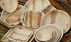 US ban on areca leaf plates: Research report submitted for review