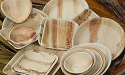 US ban on areca leaf plates: Research report submitted for review