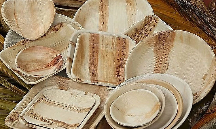 US ban on areca leaf plates: Research report submitted for review