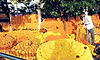 ಕರಾವಳಿಯ ಎಲ್ಲೆಡೆ ಭರದ ಸಿದ್ಧತೆ, ಖರೀದಿ ಭರಾಟೆ ಜೋರು
