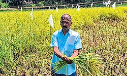 ಗಣೇಶೋತ್ಸವ: ಸೌಹಾರ್ದ ವೈಭವ