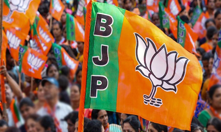 ಪಾಲಿಕೆ ಚುನಾವಣೆ: ಗಾಂಧಿನಗರ ಸೇರಿದಂತೆ 2 ನಗರ ಸ್ಥಳೀಯ ಸಂಸ್ಥೆಗಳಲ್ಲೂ ಬಿಜೆಪಿ ಜಯಭೇರಿ