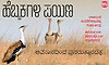 ಹೆಬ್ಬಕ್ಕಗಳ ಪಯಣ - ಅವಸಾನದಿಂದ ಪುನರುತ್ಥಾನದತ್ತ...