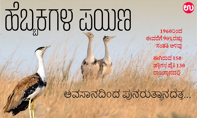 ಹೆಬ್ಬಕ್ಕಗಳ ಪಯಣ - ಅವಸಾನದಿಂದ ಪುನರುತ್ಥಾನದತ್ತ...
