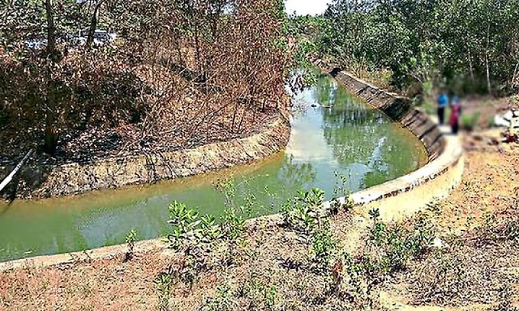 Varahi project stuck in approval maze; officials cite missing records, forest clearance delays