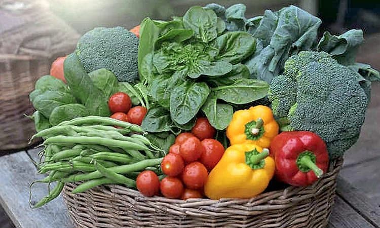 Proteins: ಮೊಟ್ಟೆಗೆ ಪರ್ಯಾಯವಾಗಬಲ್ಲ ಪ್ರೋಟೀನ್ ಸಮೃದ್ಧ 5 ತರಕಾರಿಗಳು ಇವು