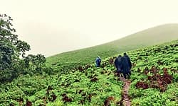 ಪ್ರವಾಸಿಗರೇ ಗಮನಿಸಿ: ಫೈರ್ ಸೀಸನ್ ಹಿನ್ನೆಲೆ: ಇಂದಿನಿಂದ ಈ ಚಾರಣಗಳಿಗೆ ತಾತ್ಕಾಲಿಕ ನಿರ್ಬಂಧ