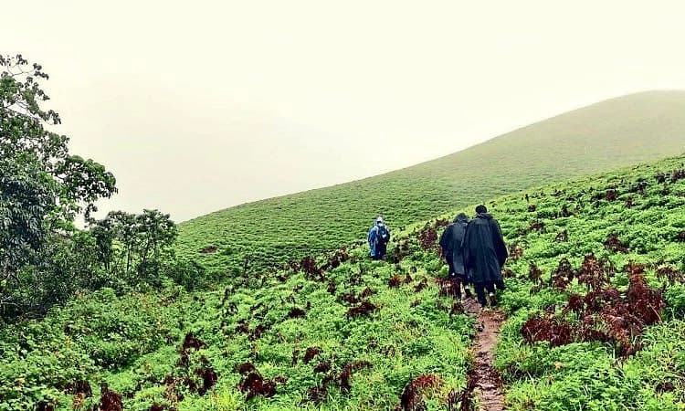 ಪ್ರವಾಸಿಗರೇ ಗಮನಿಸಿ: ಫೈರ್ ಸೀಸನ್ ಹಿನ್ನೆಲೆ: ಇಂದಿನಿಂದ ಈ ಚಾರಣಗಳಿಗೆ ತಾತ್ಕಾಲಿಕ ನಿರ್ಬಂಧ