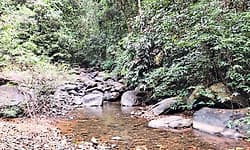 Karkala - ಹೆಬ್ರಿ: ನದಿಗಳಲ್ಲಿ ಕ್ಷೀಣಿಸಿದ ನೀರು