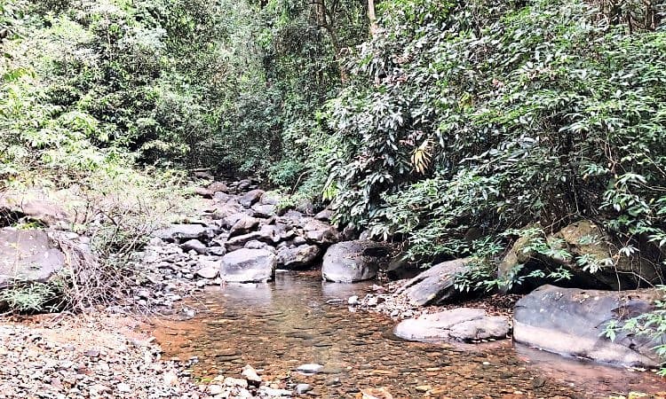 Karkala - ಹೆಬ್ರಿ: ನದಿಗಳಲ್ಲಿ ಕ್ಷೀಣಿಸಿದ ನೀರು