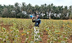 Hirekerur: ಬೆಳೆ ರಕ್ಷಣೆಗೆ ತಂತ್ರಜ್ಞಾನದ ಮೊರೆ ಹೋದ ರೈತ