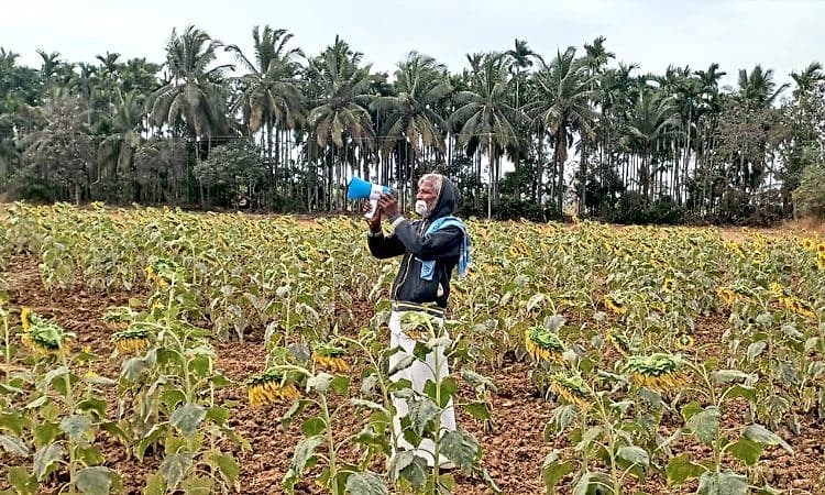 Hirekerur: ಬೆಳೆ ರಕ್ಷಣೆಗೆ ತಂತ್ರಜ್ಞಾನದ ಮೊರೆ ಹೋದ ರೈತ