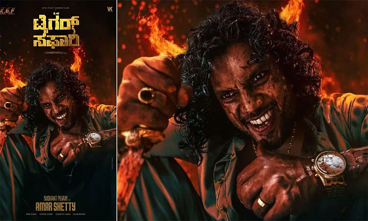 "ವೈಲ್ಡ್‌ ಟೈಗರ್‌ ಸಫಾರಿ' ಹಾಡು ಬಿಡುಗಡೆ ಮಾಡಿದ ಬಾಲಿವುಡ್‌ ಸ್ಟಾರ್‌ಡ್ಯಾನ್ಸರ್‌ಗಳ ದಂಡು