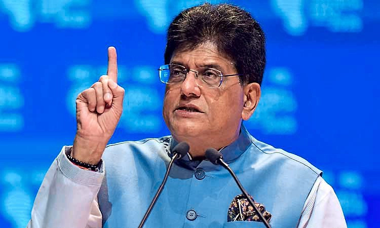 ರಾಹುಲ್‌ಗೆ ಆರ್ಥಿಕತೆಯ ಜ್ಞಾನವಿಲ್ಲ, ಅಪಕ್ವ ರಾಜಕಾರಣಿ: ಪಿಯೂಷ್ ಕಿಡಿ