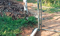 ಮಿತ್ತಬಾಗಿಲು: ಸೋಲಾರ್‌ ಬೇಲಿ ಮುರಿದು ತೋಟಕ್ಕೆ ನುಗ್ಗಿದ ಆನೆಗಳು