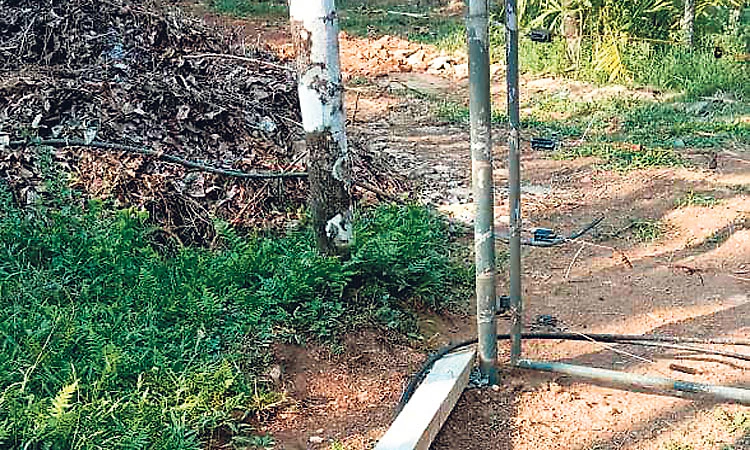 ಮಿತ್ತಬಾಗಿಲು: ಸೋಲಾರ್‌ ಬೇಲಿ ಮುರಿದು ತೋಟಕ್ಕೆ ನುಗ್ಗಿದ ಆನೆಗಳು