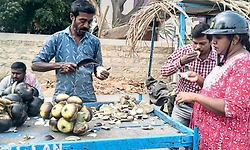 ಮಾರುಕಟ್ಟೆಯಲ್ಲಿ ಎಳನೀರು ಮೀರಿಸಿದ ತಾಳೆಹಣ್ಣು ಬೆಲೆ!