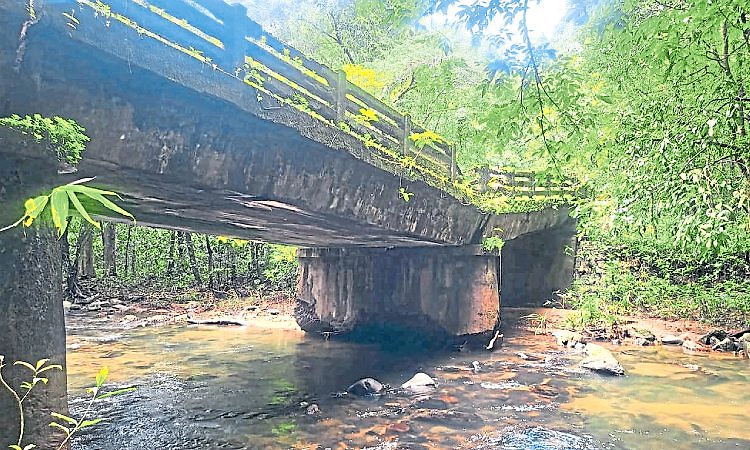Belthangady: ಕುತ್ಲೂರು ಸೇತುವೆಗೆ ಅರಣ್ಯ ಸಮಸ್ಯೆ!