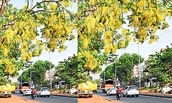 Mangaluru: ನಾಳೆ ತುಳುನಾಡಿನಾದ್ಯಂತ  "ಬಿಸು ಪರ್ಬ'ದ ಸಂಭ್ರಮ
