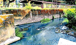 ಹೂಳೆತ್ತದಿದ್ದರೆ ರಾಜ ಕಾಲುವೆ ಮುಳುಗುವುದು ಗ್ಯಾರಂಟಿ!