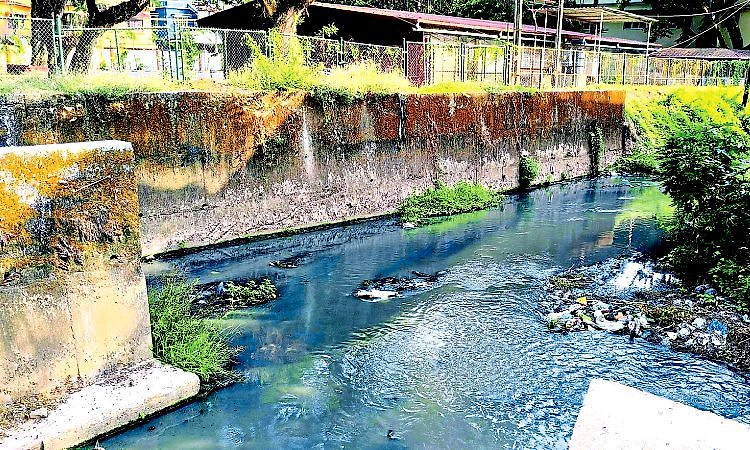 ಹೂಳೆತ್ತದಿದ್ದರೆ ರಾಜ ಕಾಲುವೆ ಮುಳುಗುವುದು ಗ್ಯಾರಂಟಿ!