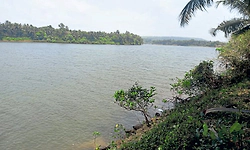 Udupi: ಗುಡ್ಡ - ನದಿಗಳ ನಡುವೆ ಏರಿಳಿತದ ಬದುಕು