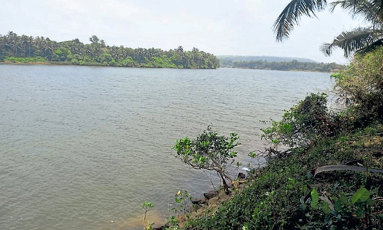 Udupi: ಗುಡ್ಡ - ನದಿಗಳ ನಡುವೆ ಏರಿಳಿತದ ಬದುಕು