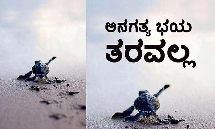 Scary: ಅನಗತ್ಯ ಭಯ ತರವಲ್ಲ